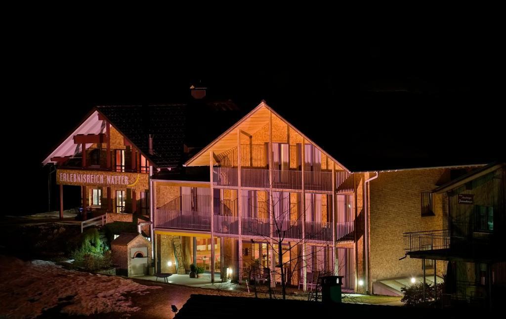N Apartments Hotel Schoppernau Esterno foto
