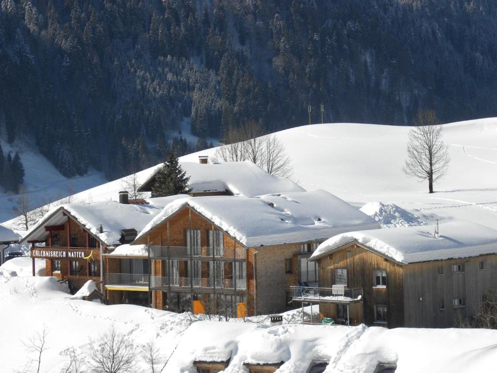 N Apartments Hotel Schoppernau Esterno foto